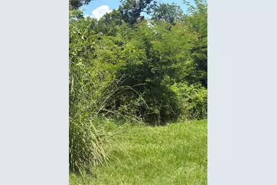 1 Fm 980 S, Point Blank, TX 77364 - Photo 7