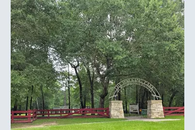 18023 Bambriar Drive, Houston, TX 77090 - Photo 13