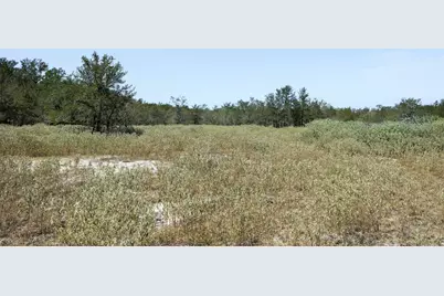 10601 N State Highway 95, Flatonia, TX 78941 - Photo 15