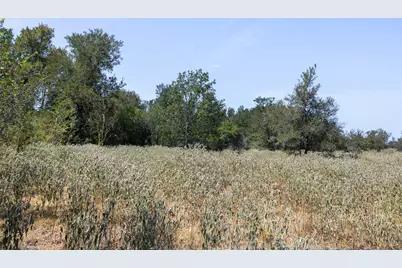 10601 N State Highway 95, Flatonia, TX 78941 - Photo 17