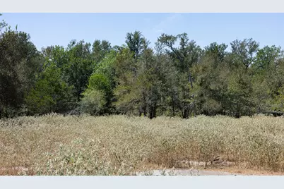10601 N State Highway 95, Flatonia, TX 78941 - Photo 13