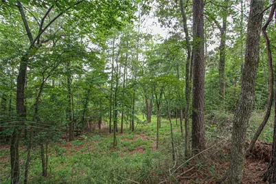 299 Hideaway Drive, Livingston, TX 77351 - Photo 11
