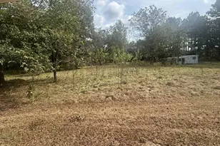 30 Co Rd 2119, Cleveland, TX 77327 - Photo 7