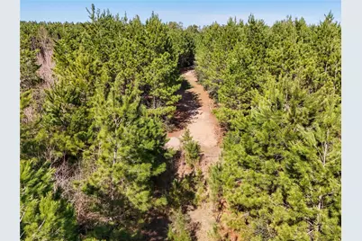 15184 Fm 92, Spurger, TX 77660 - Photo 15