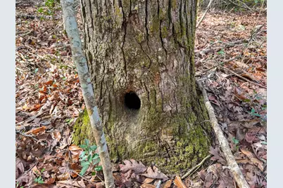 15184 Fm 92, Spurger, TX 77660 - Photo 27