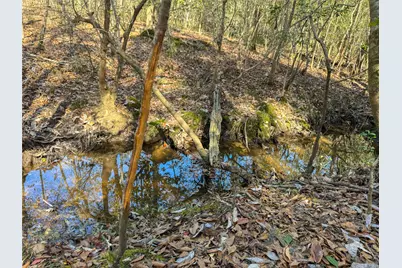 15184 Fm 92, Spurger, TX 77660 - Photo 9