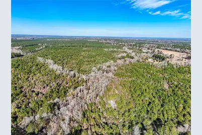 15184 Fm 92, Spurger, TX 77660 - Photo 33