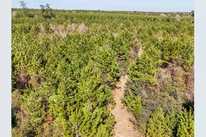 15184 Fm 92, Spurger, TX 77660 - Photo 37