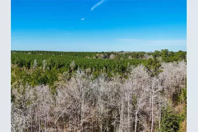 15184 Fm 92, Spurger, TX 77660 - Photo 17