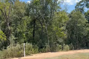 9734 Lakeside Oaks Dr Dr, Plantersville, TX 77363 - Photo 1