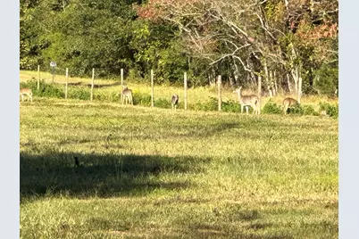 313 Roy Road, Wallisville, TX 77597 - Photo 35