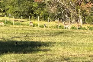 313 Roy Rd, Wallisville, TX 77597 - Photo 35