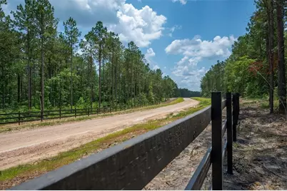 Tbd 6 Timberland Branch Drive, Woodville, TX 75979 - Photo 1