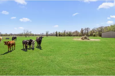 4710 County Road 121, Wharton, TX 77488 - Photo 25