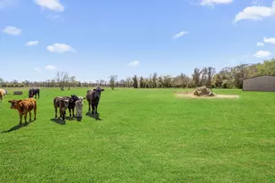 4710 County Rd 121, Wharton, TX 77488 - Photo 25