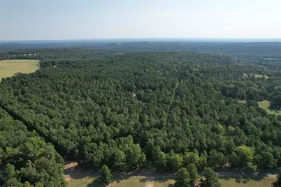 Tbd An County Road 1220, Grapeland, TX 75844 - Photo 1