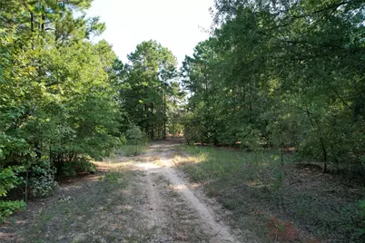 Tbd An County Road 1220, Grapeland, TX 75844 - Photo 23
