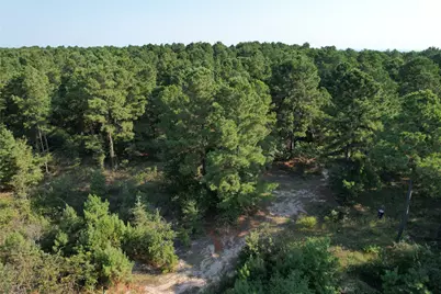 Tbd An County Road 1220, Grapeland, TX 75844 - Photo 17