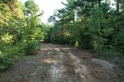 Tbd An County Road 1220, Grapeland, TX 75844 - Photo 5