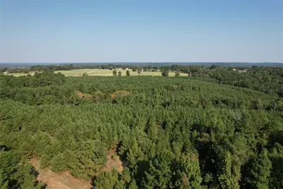 Tbd An County Road 1220, Grapeland, TX 75844 - Photo 27