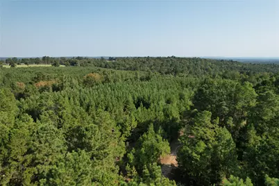 Tbd An County Road 1220, Grapeland, TX 75844 - Photo 25