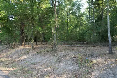 Tbd An County Road 1220, Grapeland, TX 75844 - Photo 3