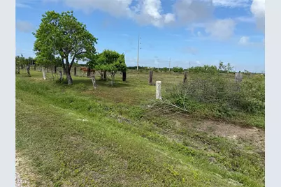 702 N Orchid N, Texas City, TX 77591 - Photo 3