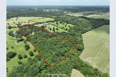 8514 County Road 313, Plantersville, TX 77363 - Photo 37