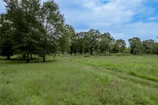 26353 Bedias Dr, Bedias, TX 77831 - Photo 29