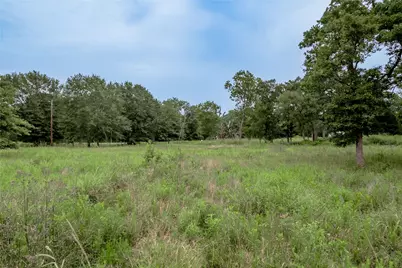 26353 Bedias Drive, Bedias, TX 77831 - Photo 31