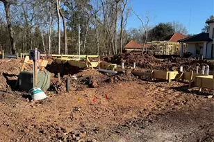 219 Jade Pointe, Missouri City, TX 77459 - Photo 5