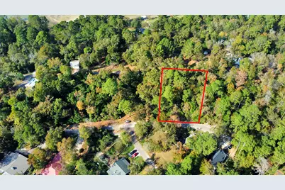 Lot 36 Loper Lake Drive, Livingston, TX 77351 - Photo 5