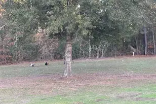 3074 S Fm 1486 Rd, Montgomery, TX 77316 - Photo 13