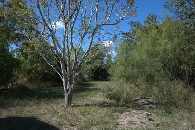 205 E Elliott Street, Beeville, TX 78102 - Photo 9