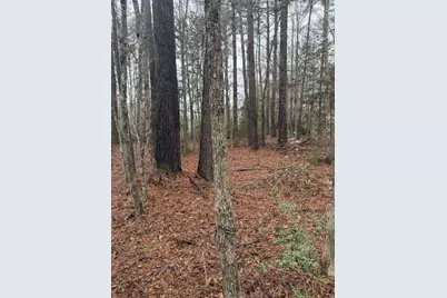 0 County Road 451, Kirbyville, TX 75956 - Photo 7