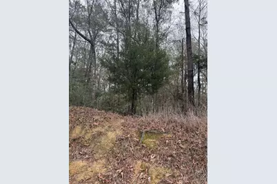 0 County Road 451, Kirbyville, TX 75956 - Photo 3