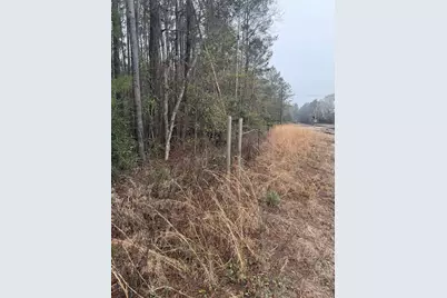 0 County Road 451, Kirbyville, TX 75956 - Photo 5