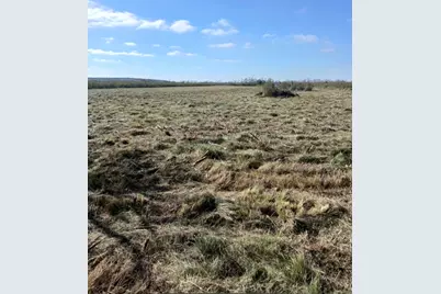 807 County Road 807, Angleton, TX 77515 - Photo 7