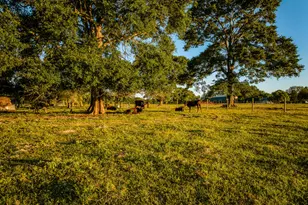 5110 Mill Creek Rd, Cat Spring, TX 78933 - Photo 17