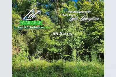 0 The Woods Road, Coldspring, TX 77331 - Photo 3