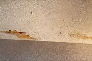 129 Sylvia St, Deer Park, TX 77536 - Photo 17