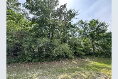Tbd005 Molitar, Trinity, TX 75862 - Photo 5