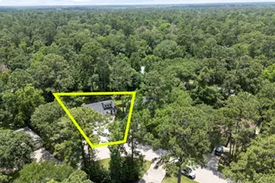 10 E White Willow Cir, Spring, TX 77381 - Photo 31