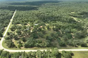 1312 Private Rd 1051, Hallettsville, TX 77964 - Photo 9