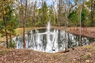 14882 Gingham Rd, Montgomery, TX 77356 - Photo 49