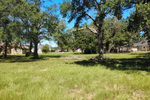 Lot 65 Birdie A/K/A 225 Birdie Dr, Hempstead, TX 77445 - Photo 1