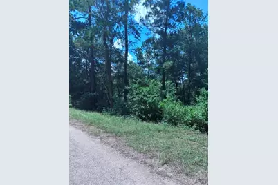30651 S Walnut Creek Drive, Waller, TX 77484 - Photo 5