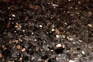 3003 Terrace Hills Ln, Houston, TX 77007 - Photo 11