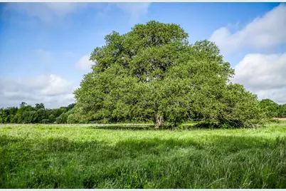 Tract 6 S Nassau Road, Round Top, TX 78954 - Photo 9