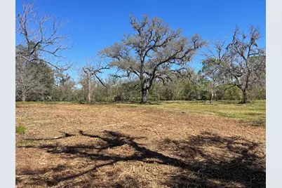3531 County Road 348, Brazoria, TX 77422 - Photo 3